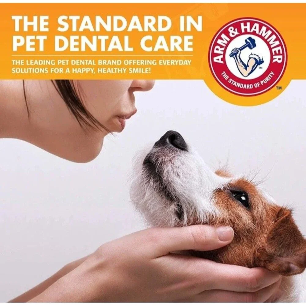 2-Pack Dog Dental Kit BONUS Enzymatic Beef Flavor Mint Arm & Hammer Toothbrush